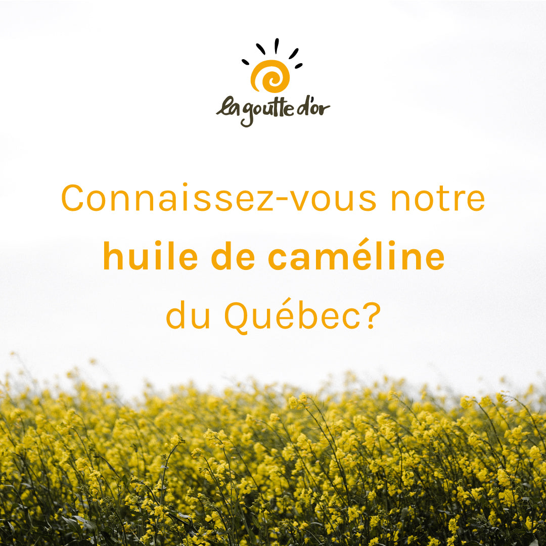 Avez-vous déjà goûté notre huile de caméline du Québec?