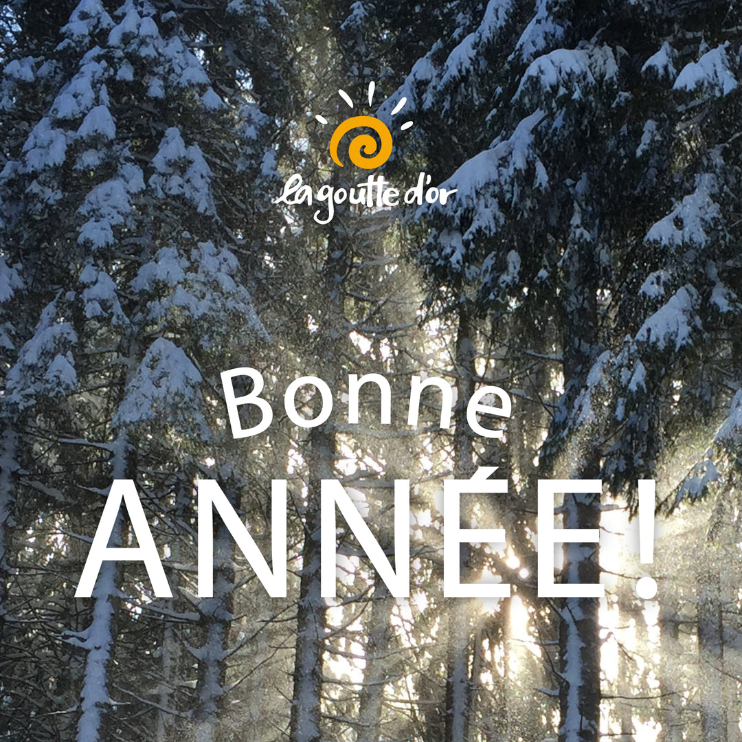 Bonne année!